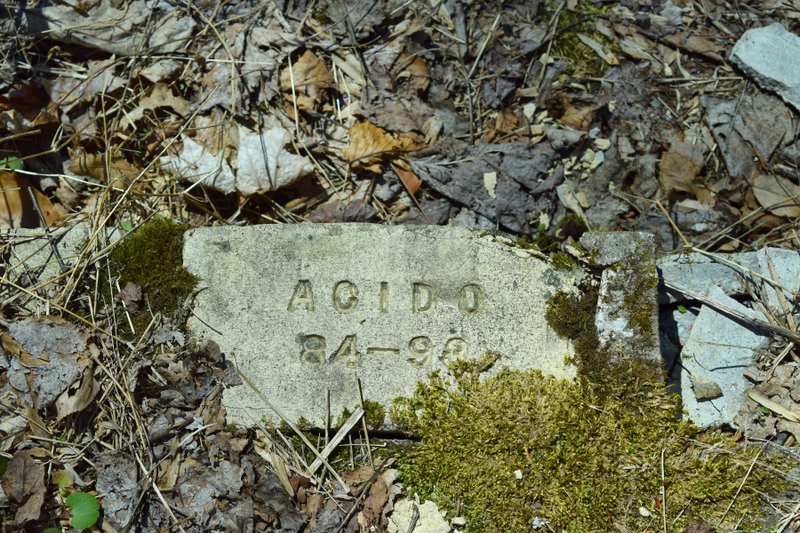 Illustration for article titled Roadside Discoveries